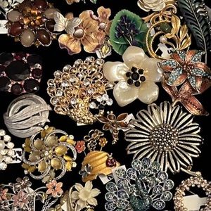 Brooches, Brooches And More Brooches